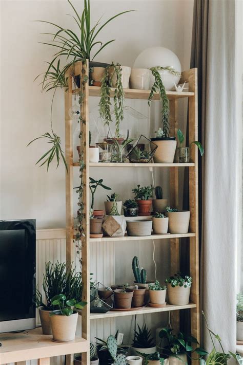 30+ Plant Wall Shelf Ideas