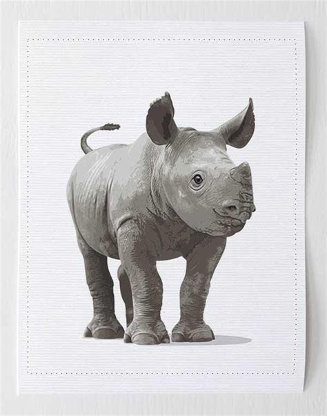 Baby Rhino | Baby rhino, Rhino art, Baby animal art