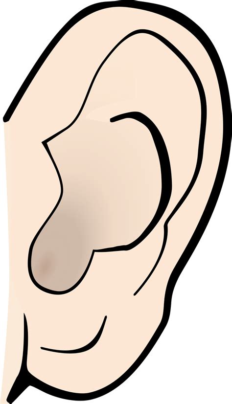 Free Open Ears Cliparts, Download Free Open Ears Cliparts png images ...