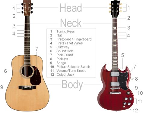 Guitar Parts Diagram Electric