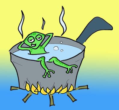 Are You About to Suffer From the Boiling Frog Phenomenon? - SeeMetrics ...