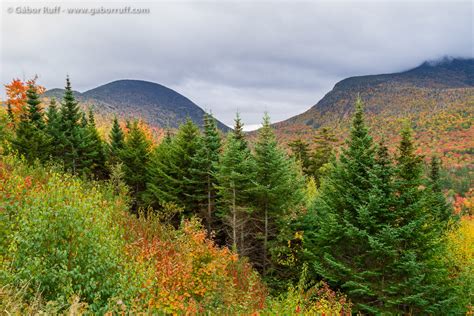 Fall Colors in the White Mountains | Gábor Ruff