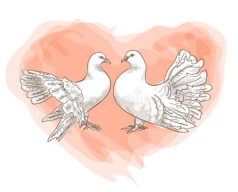 Couple Doves With Symbol Of Love - Red Heart. Royalty Free Stock Images ...