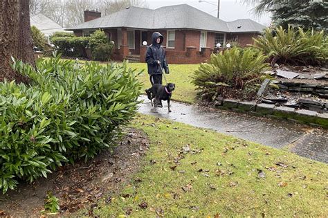 UPDATE: Power outages hit Cowlitz County as high winds expected through ...