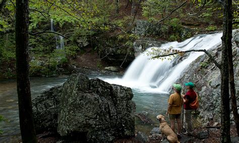 Lake Catherine State Park | Arkansas State Parks