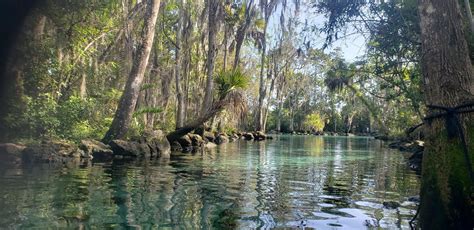 Three Sisters Springs Crystal River, Florida (Photo credit to u ...