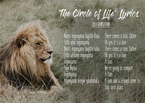 20 Beautiful African Words in 'The Lion King' That'll Make You Smile ...