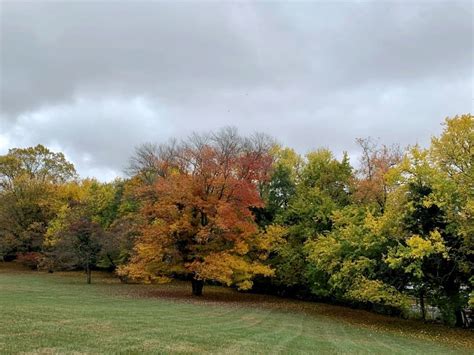 Fall Foliage Map 2023: See When Autumn Leaves Peak In PA | Across ...