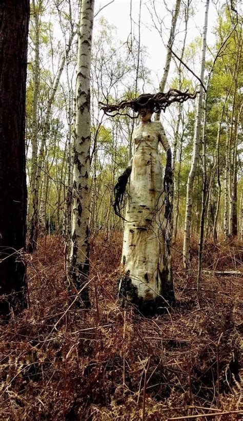 Creepy old dead tree… - Bits and Pieces