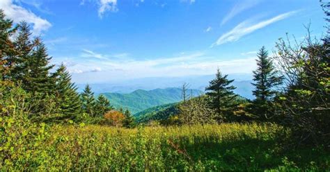 The Top Clingmans Dome Hikes To Reach the Highest Point in Tennessee