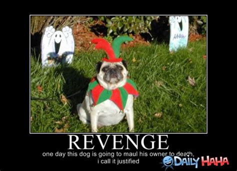 Funny Revenge Quotes Sayings. QuotesGram