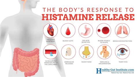 Chronic Allergies or a Histamine Intolerance? How to Tell for Sure ...