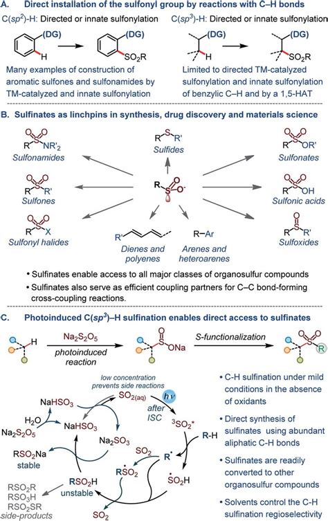 (A) Overview of methods for the direct installation of the sulfonyl ...