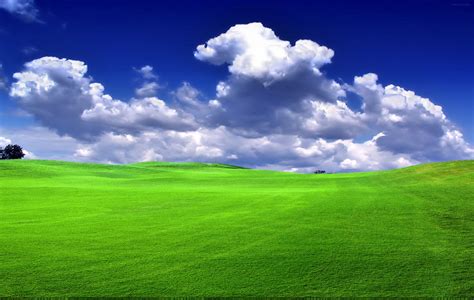 nature wallpaper grass 2