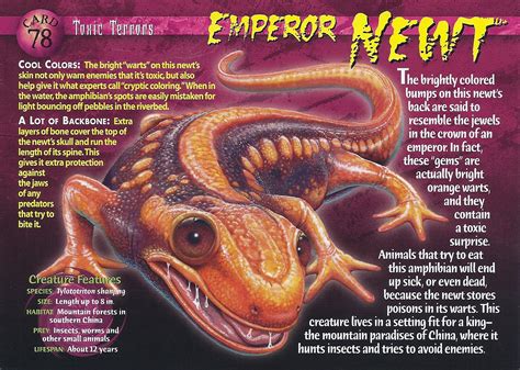 Emperor Newt | Wierd N'wild Creatures Wiki | FANDOM powered by Wikia