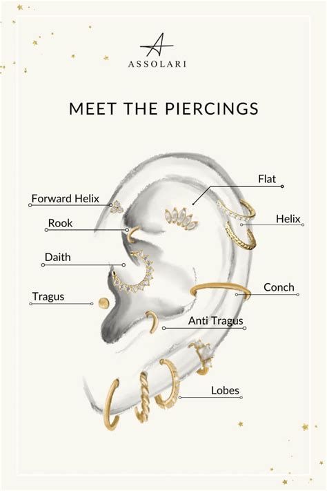 Cartilage Piercing Types Ear Piercings Chart, Ear Piercing Diagram ...