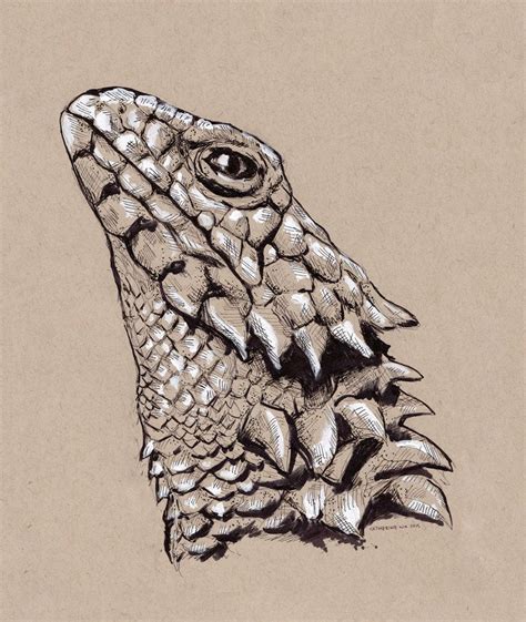 Armadillo Lizard, Mood Board, Owl, Lizards, Bird, Animals, Deviantart ...