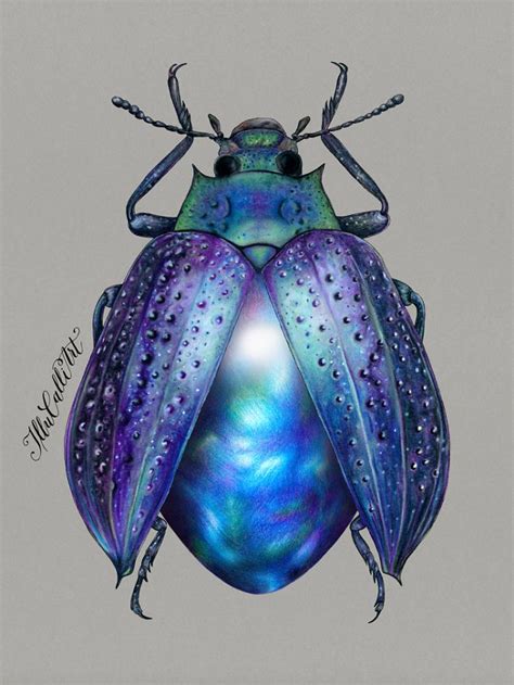 I Drew Beetles That Hide Colourful Minerals Underneath Their Shiny Wing ...