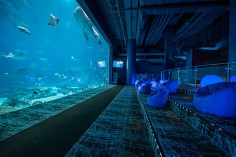 Event Venues In Atlanta Georgia | Georgia Aquarium