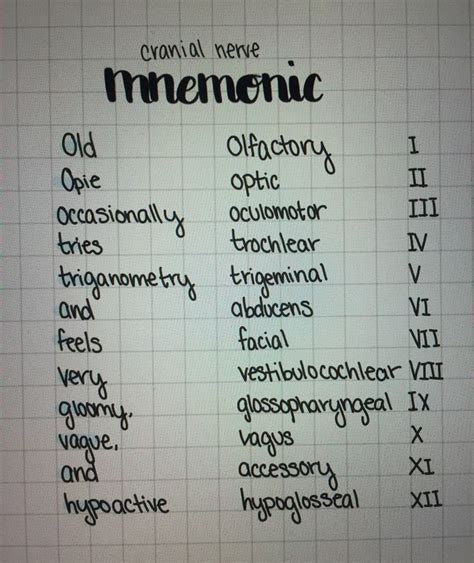 Cranial Nerve Mnemonic Anatomy and Physiology | Cranial nerves mnemonic ...