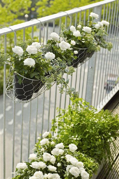 Vertical Balcony Garden Ideas | Balcony Garden Web