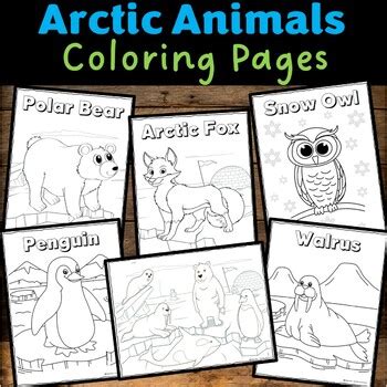 Arctic Animals Winter Activities BUNDLE-Directed Drawing, Coloring ...