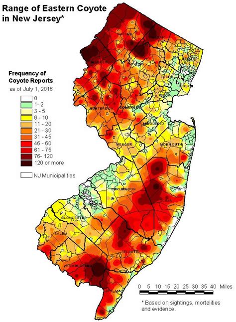 NJDEP| Fish & Wildlife | Coyotes in New Jersey