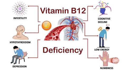 Vitamin B12 Deficiency: Symptoms, Causes, Treatment & Prevention