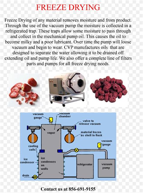 Freeze-drying Freezing Spray Drying Industry, PNG, 900x1211px, Drying ...