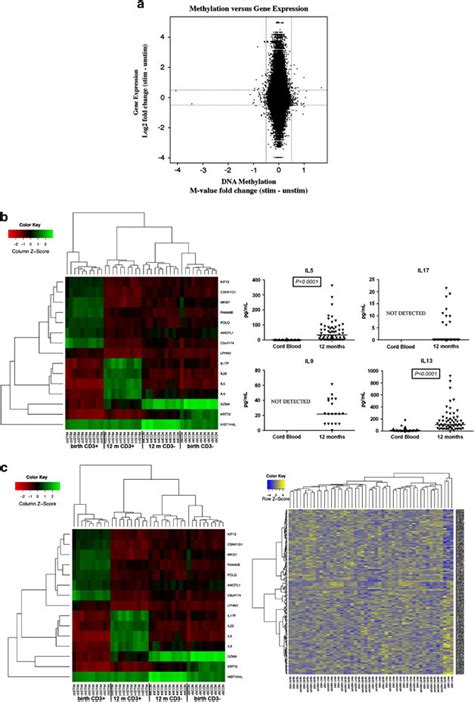 The relationship between DNA methylation and gene expression in ...