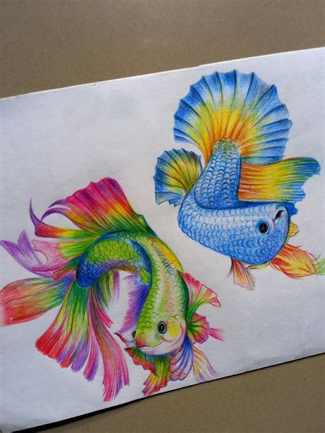 Fish drawing | Fish drawings, Coloring book art, Colorful drawings