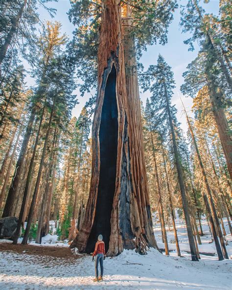 Visiting Kings Canyon & Sequoia National Park in Winter - Lita of the Pack