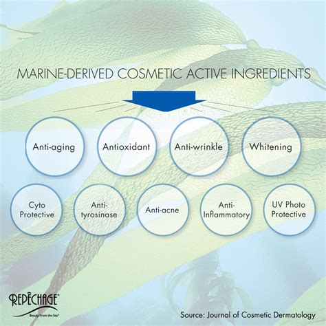 SCIENCE OF SEAWEED | Skin care benefits, Cosmetic dermatology, Skin ...