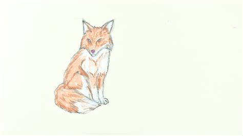 How to Draw a Fox: A Step-by-Step Guide