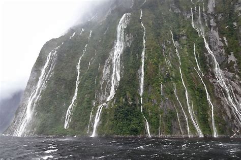 Milford Sound - is it worth it? - Quirky Little Planet