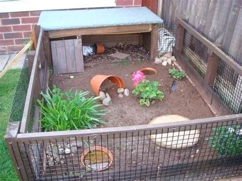 tortoise yard - Google Search | Tortoise care, Tortoise habitat ...