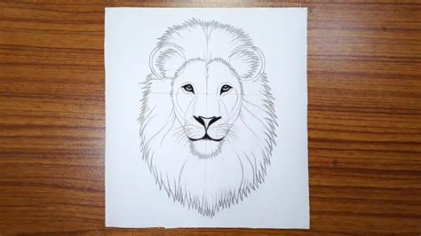 Learn To Draw A Lion Lion Drawing Simple Lion Face Drawing Easy | The ...