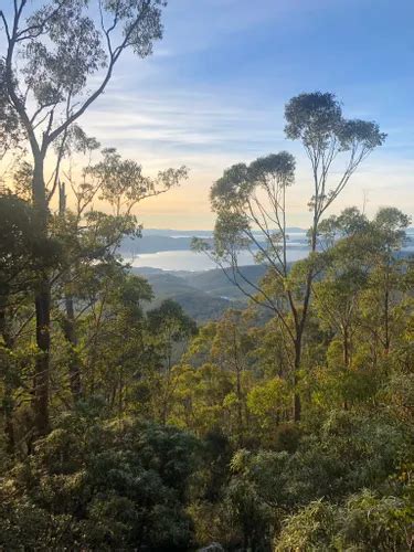 10 Best Hikes and Trails in Wellington Park | AllTrails