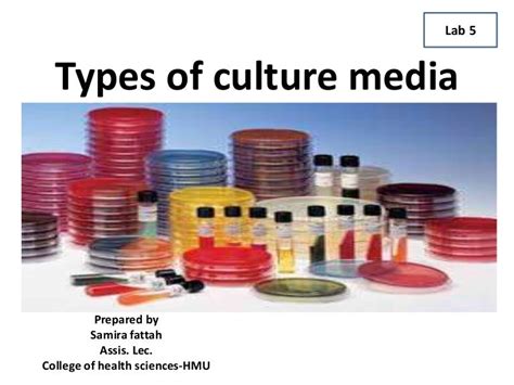 Types Of Animal Cell Culture Media Slideshare - Cell culture, Different ...