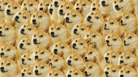 🔥 [50+] Doge Meme Wallpapers | WallpaperSafari