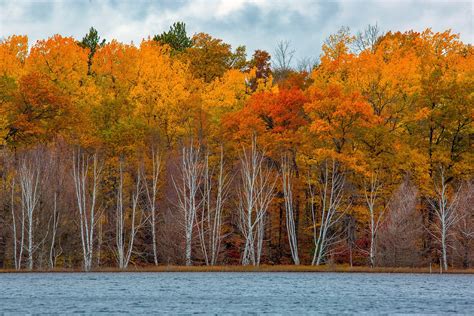 Minnesota Fall Colors Guide for This Weekend [State Map]