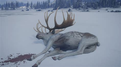 theHunter Call of the Wild - Great One Moose Spawn Guide and Tips