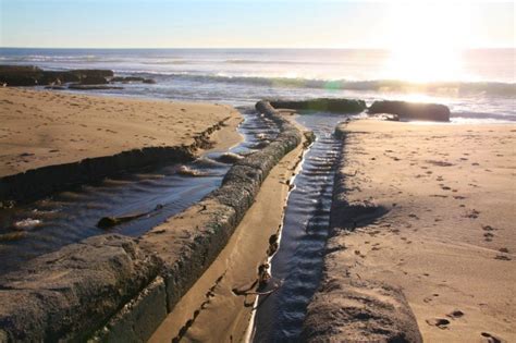 Davenport Landing Beach in Davenport, CA - California Beaches