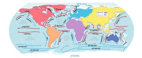 Top 5 Oceans of the World Map: A Geographer’s Guide