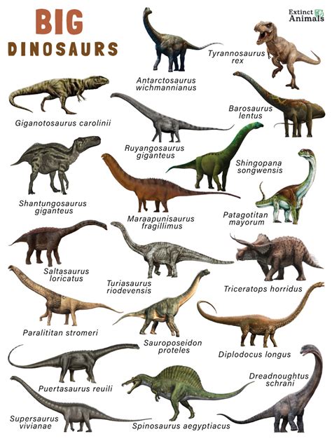 Big Dinosaurs – Facts, List, Pictures