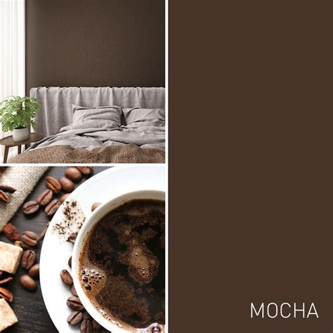 Create a Cozy Space with a Mocha Paint Color | Mocha paint colors ...