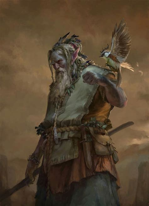 D&D 5e: Firbolg Druid Guide - Sage Gamers