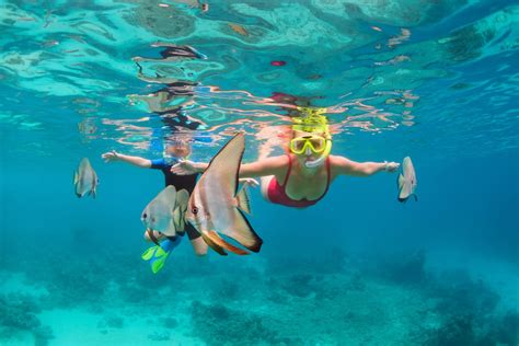 8 Kihei Snorkeling Tours Worth Your Money (+ Best Spots!)