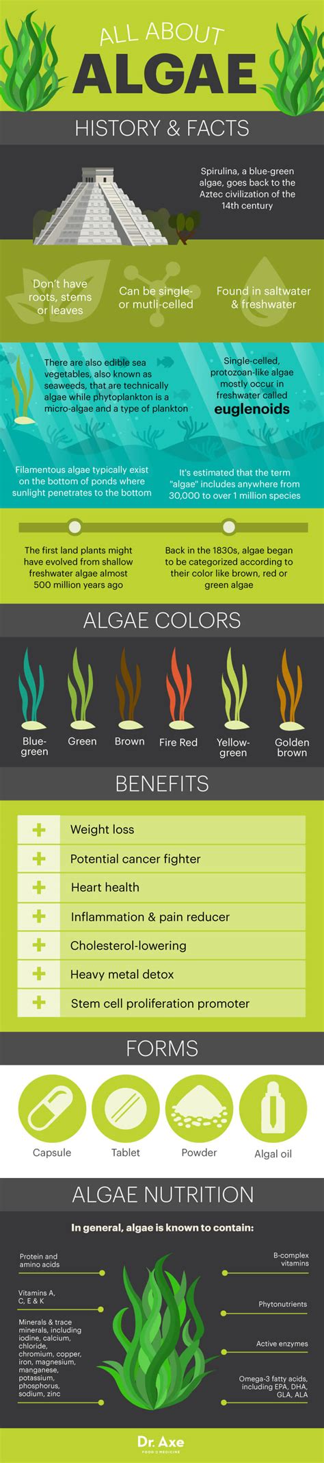 All About Algae: Superfood Facts And Health Benefits Infographic