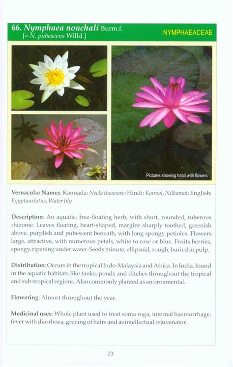 Photo Guide to Selected Medicinal Plants of Karnataka | NHBS Field ...